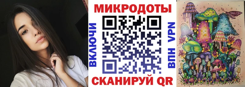 Галлюциногенные грибы Psilocybe  Салаир 