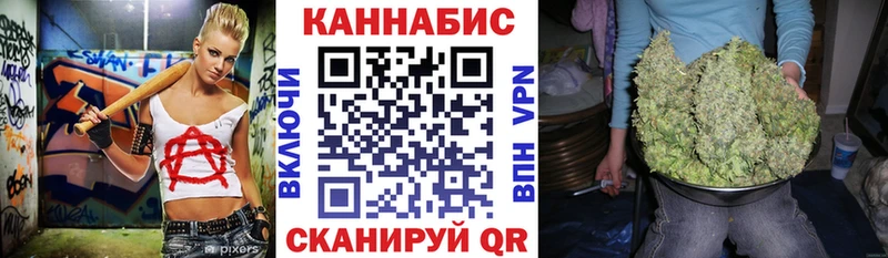 МАРИХУАНА сатива  Салаир 